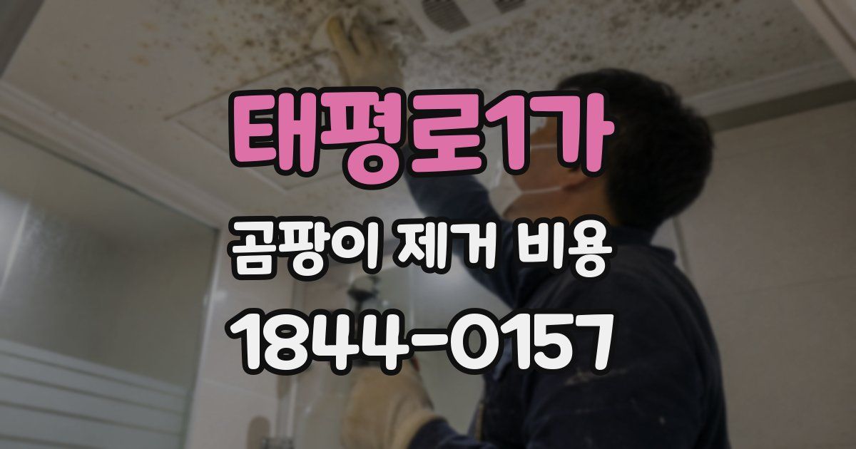 태평로1가 곰팡이 제거 비용