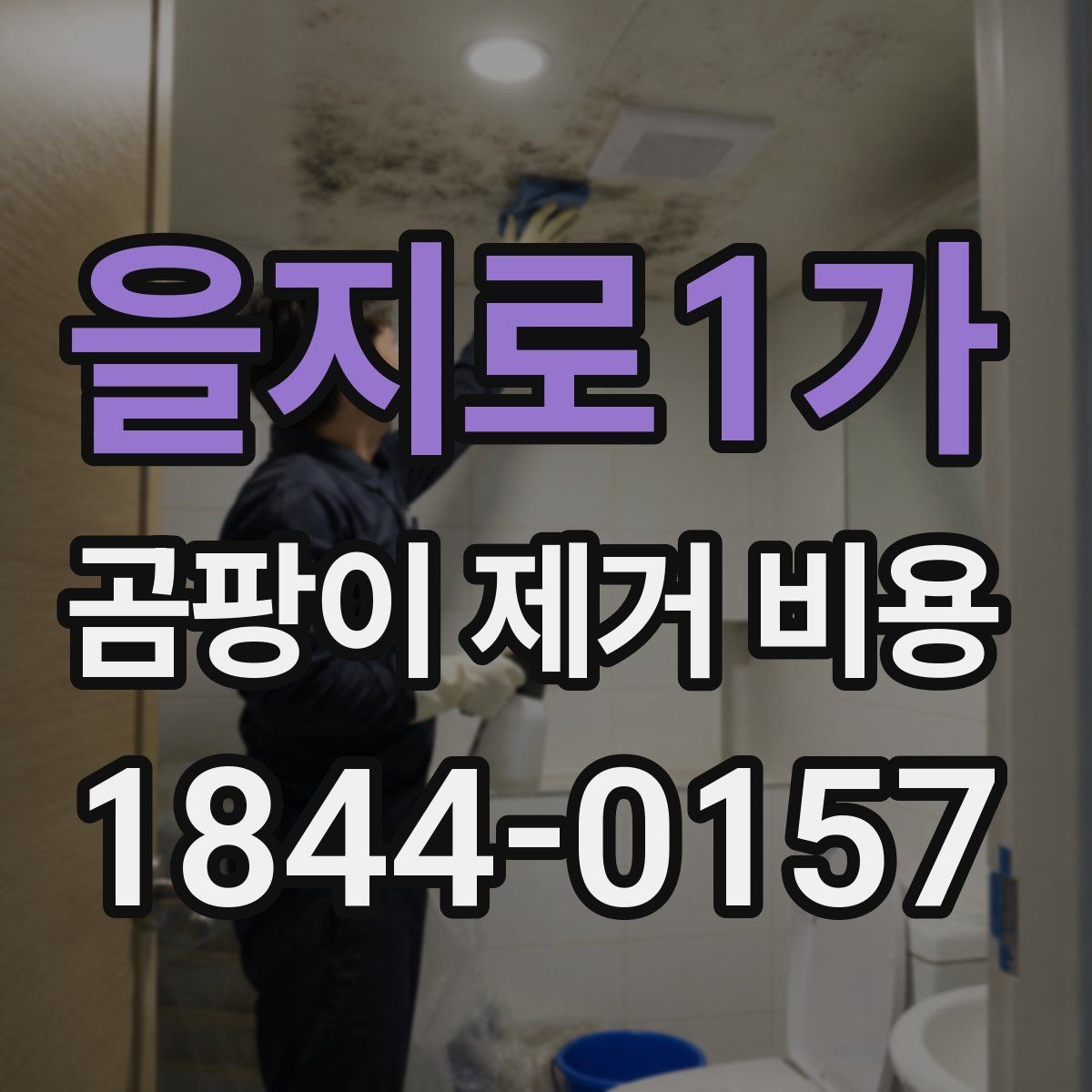 을지로1가 곰팡이 제거 비용 곰팡이 원인 진단이 먼저인 이유