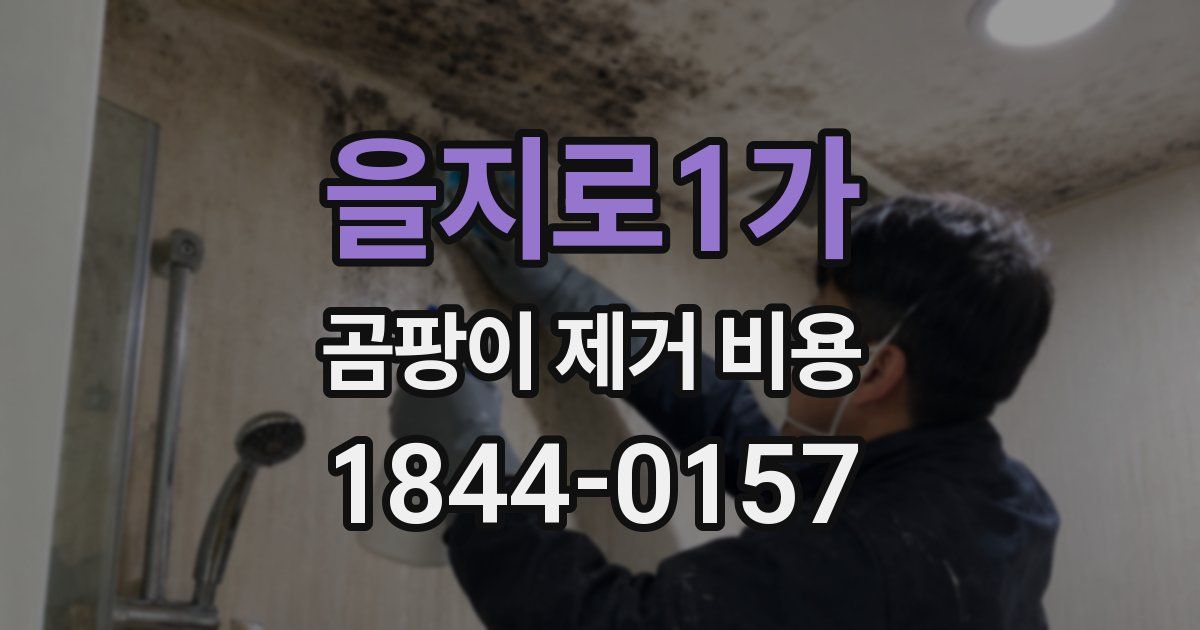 을지로1가 곰팡이 제거 비용
