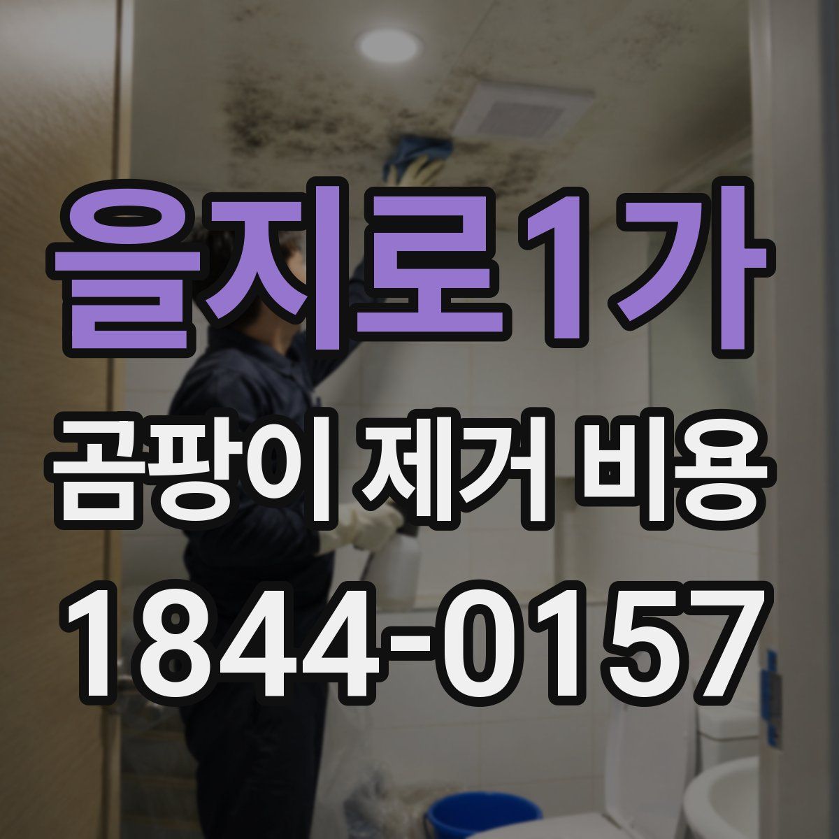 을지로1가 곰팡이 제거 비용