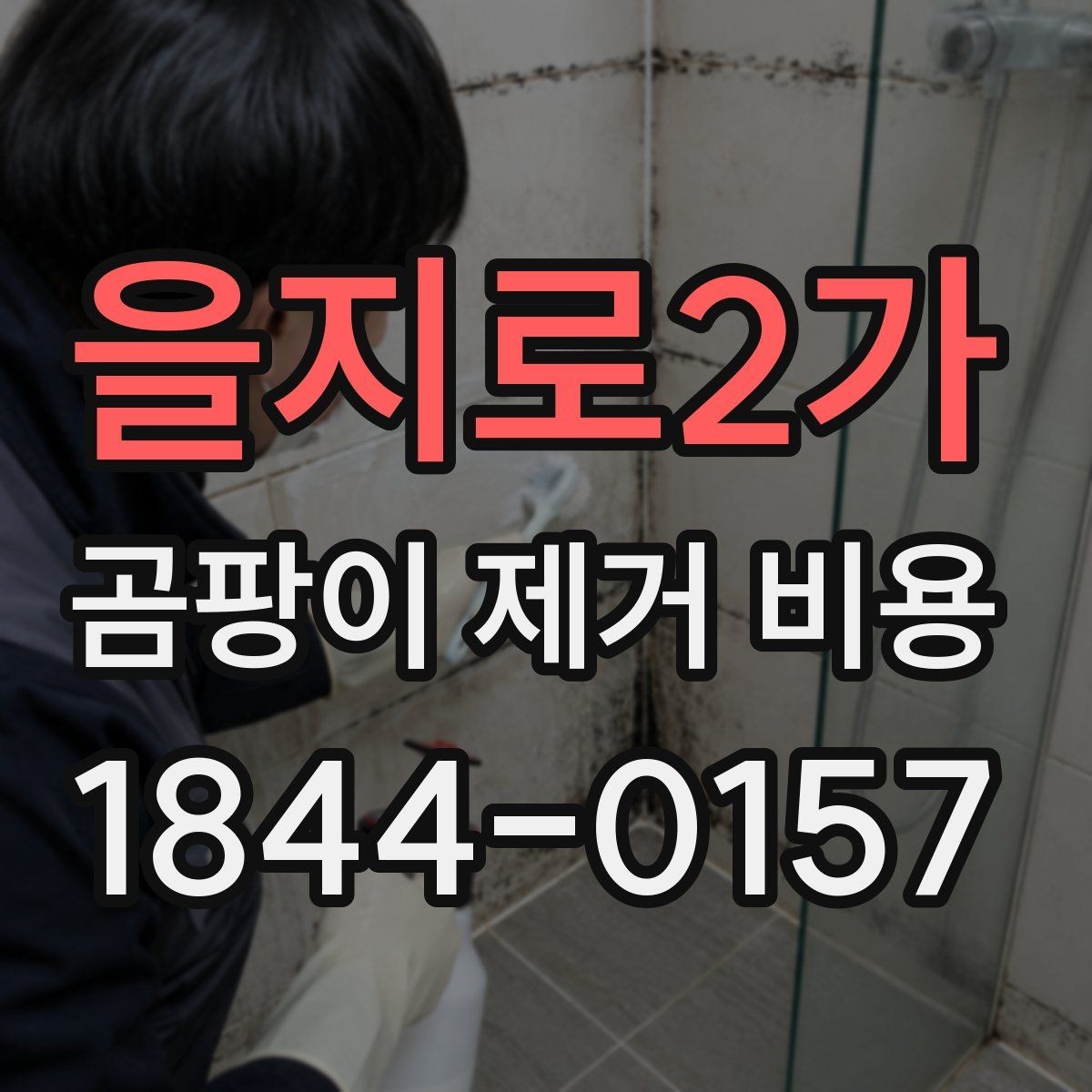 을지로2가 곰팡이 제거 비용 계약 전 확인할 문서와 안내사항