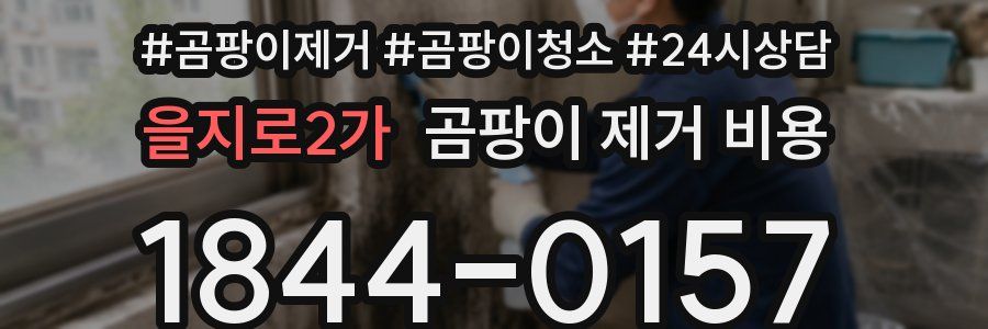 을지로2가 곰팡이 제거 비용