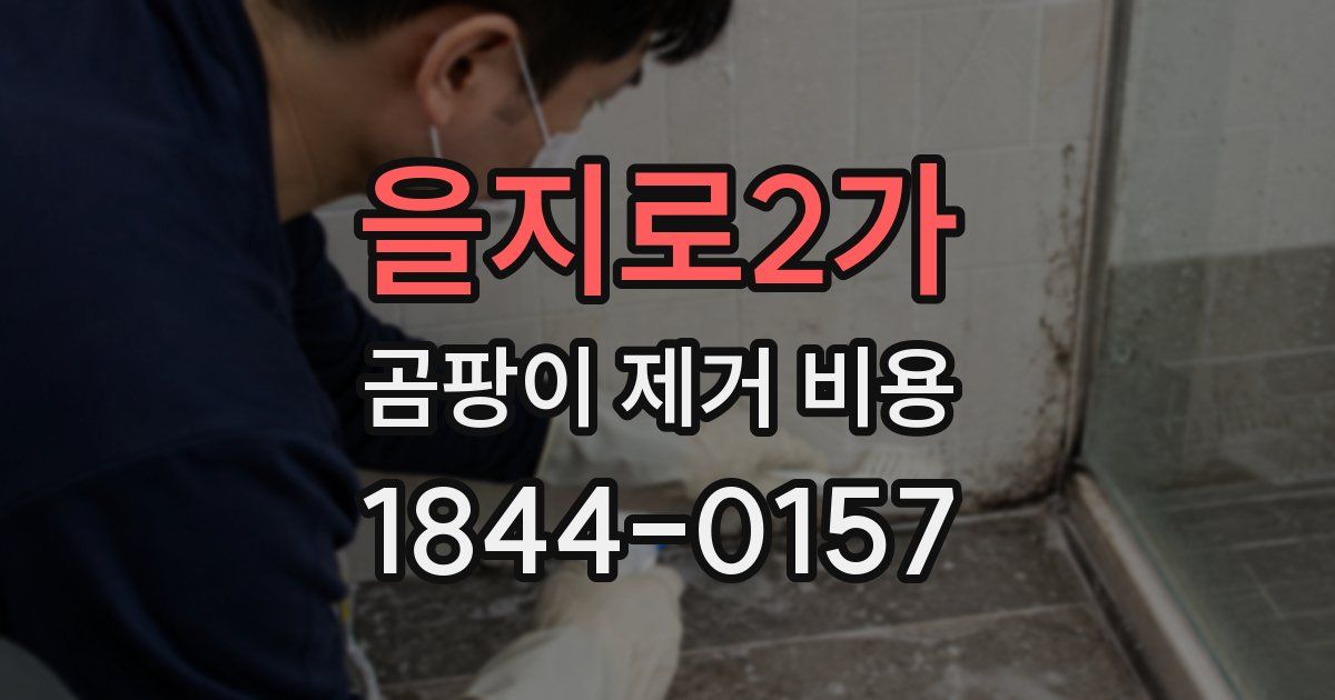 을지로2가 곰팡이 제거 비용