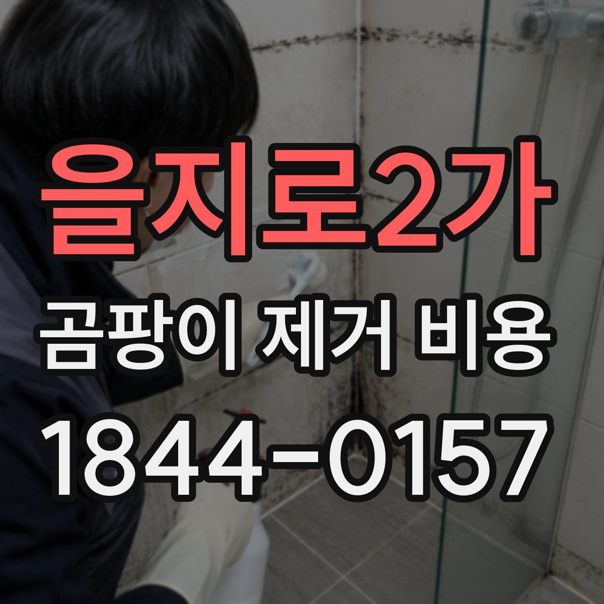 을지로2가 곰팡이 제거 비용