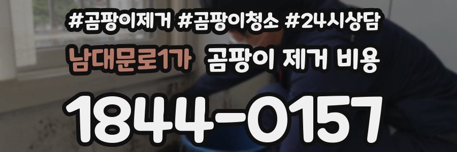 남대문로1가 곰팡이 제거 비용