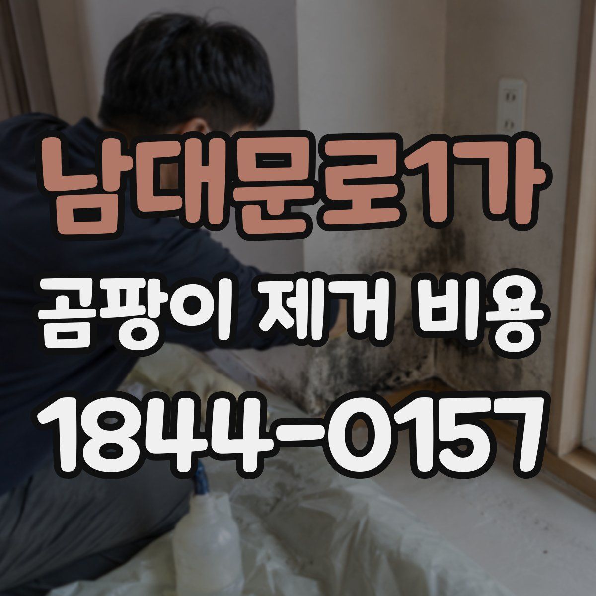 남대문로1가 곰팡이 제거 비용