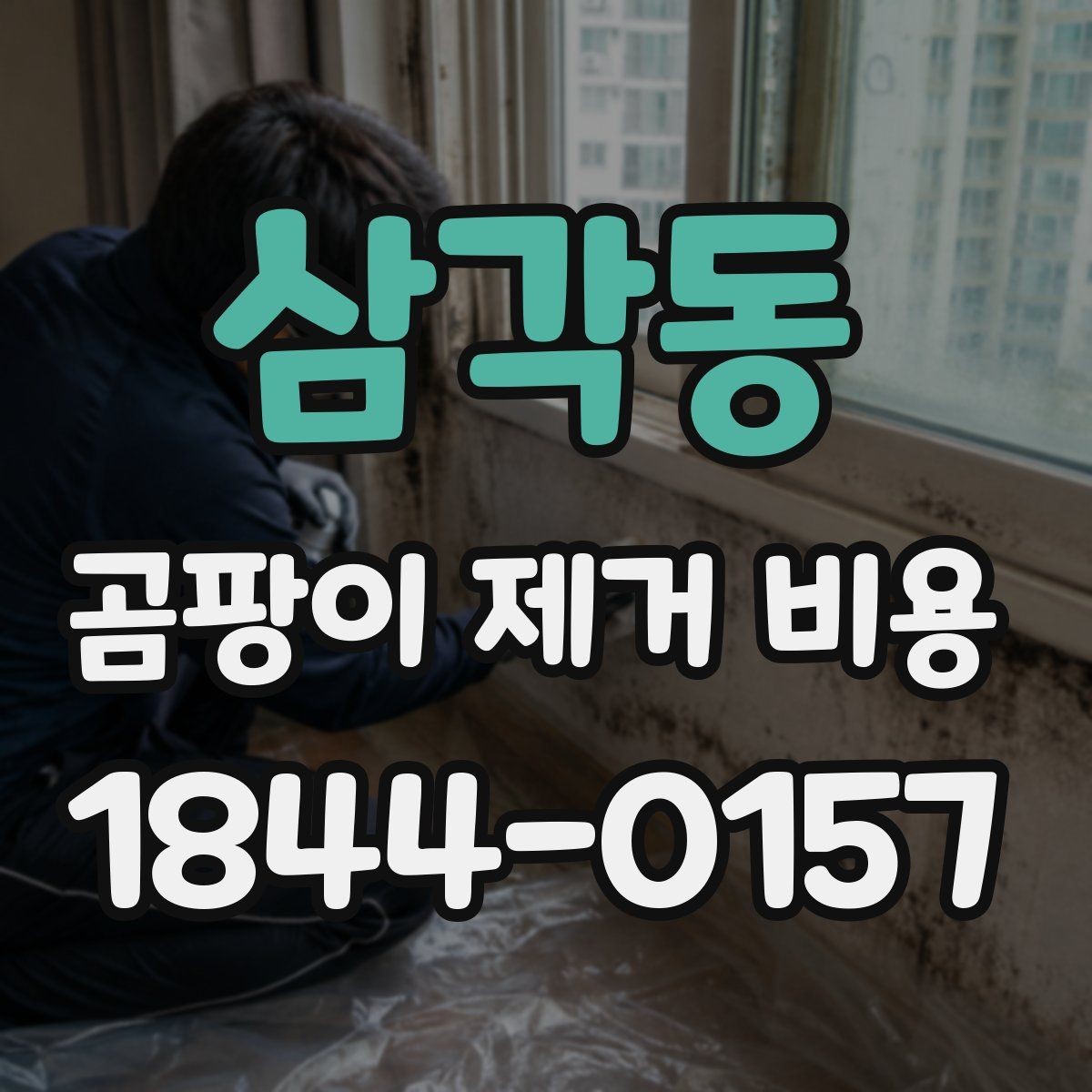 삼각동 곰팡이 제거 비용 다세대 건물 공용부와 세대별 차이