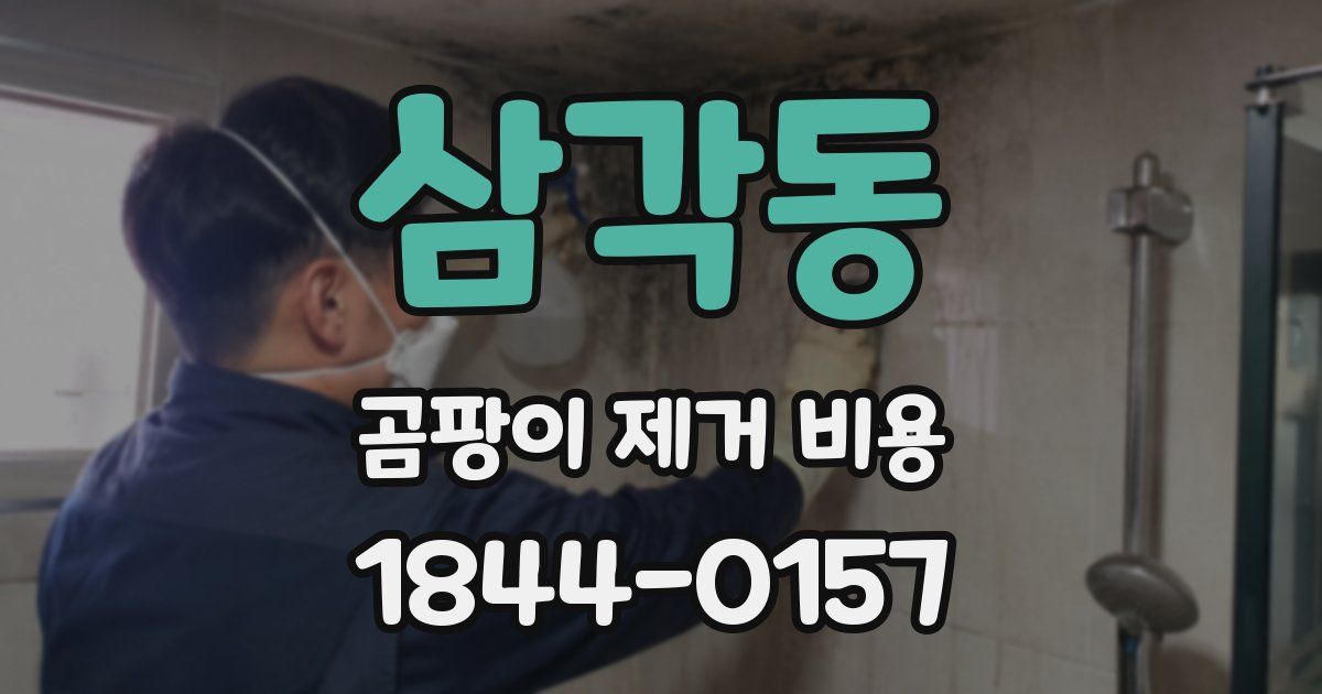 삼각동 곰팡이 제거 비용