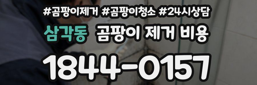 삼각동 곰팡이 제거 비용