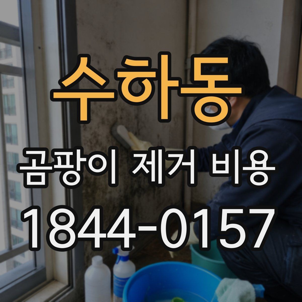 수하동 곰팡이 제거 비용 욕실 벽과 천장 중 어디가 더 들까