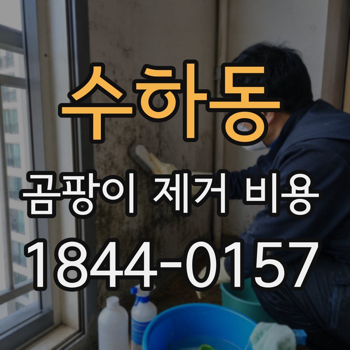 수하동 곰팡이 제거 비용