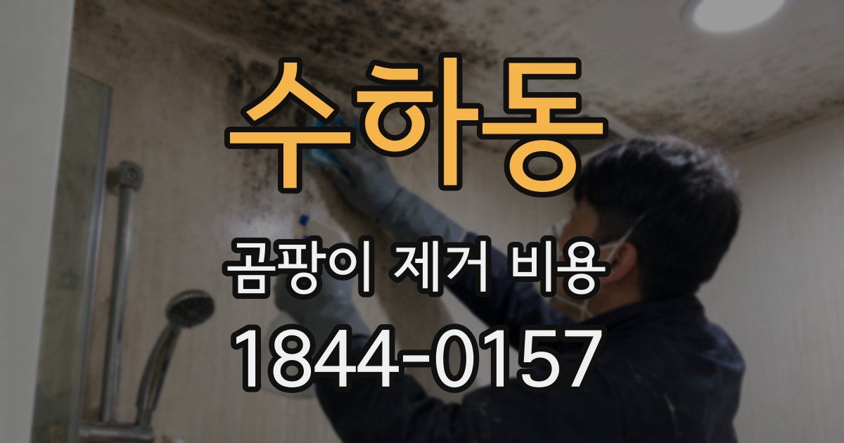 수하동 곰팡이 제거 비용