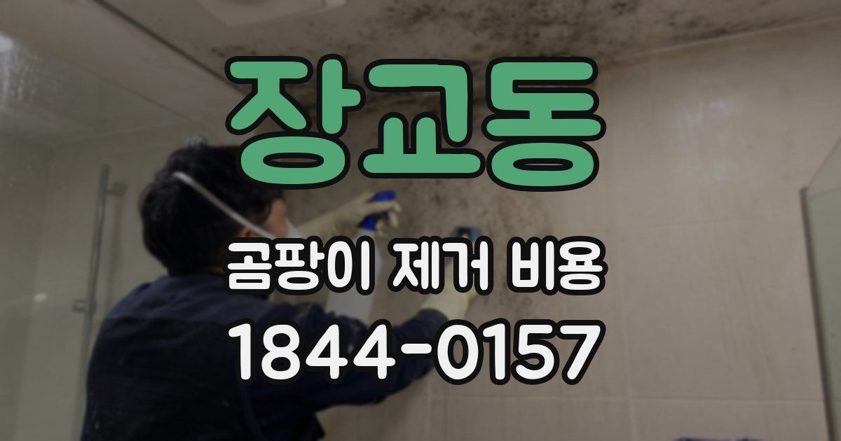 장교동 곰팡이 제거 비용