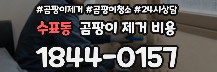 수표동 곰팡이 제거 비용