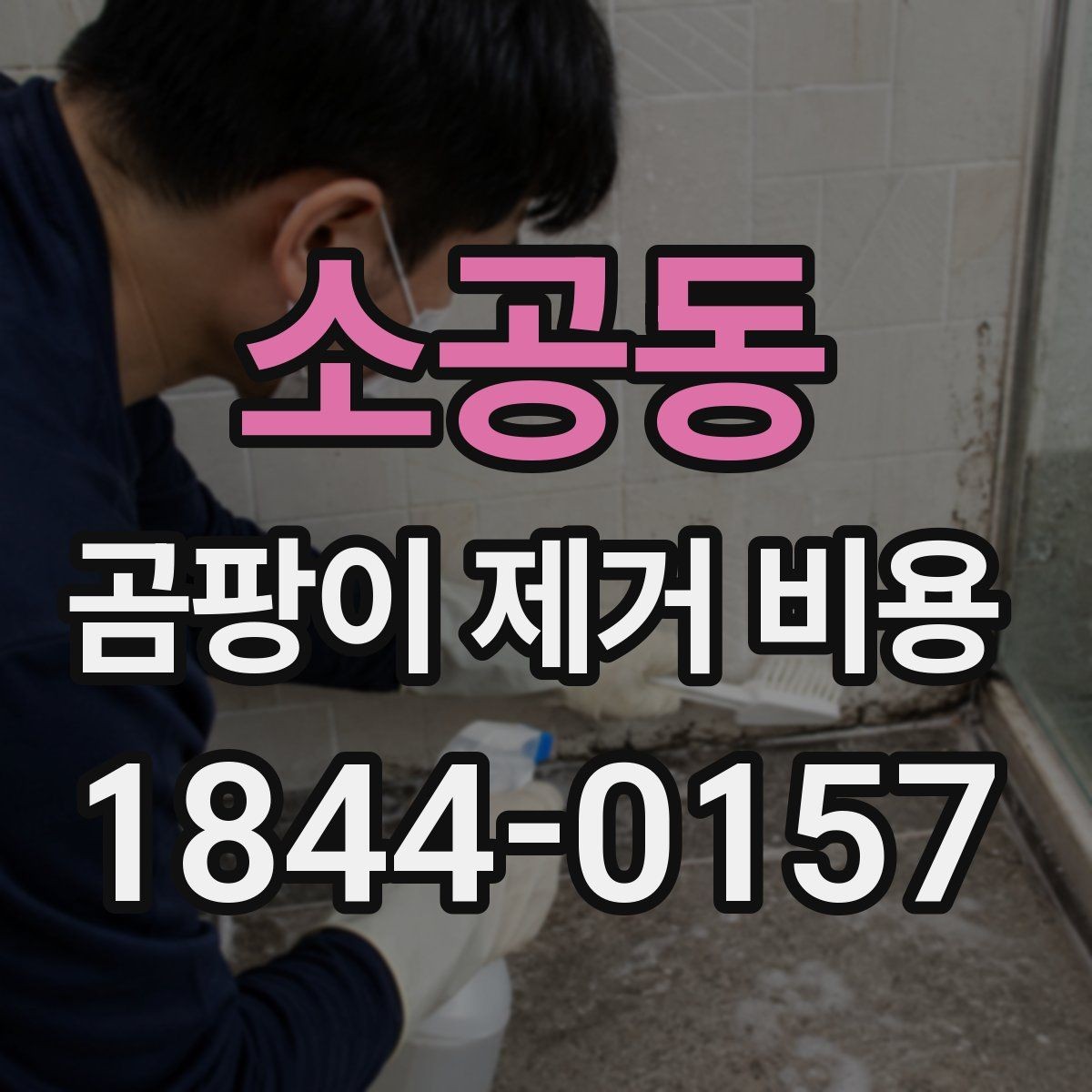 소공동 곰팡이 제거 비용 실리콘·줄눈 교체 포함 시 확인할 공정