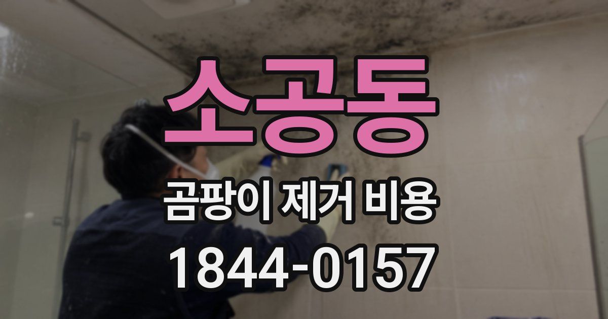 소공동 곰팡이 제거 비용