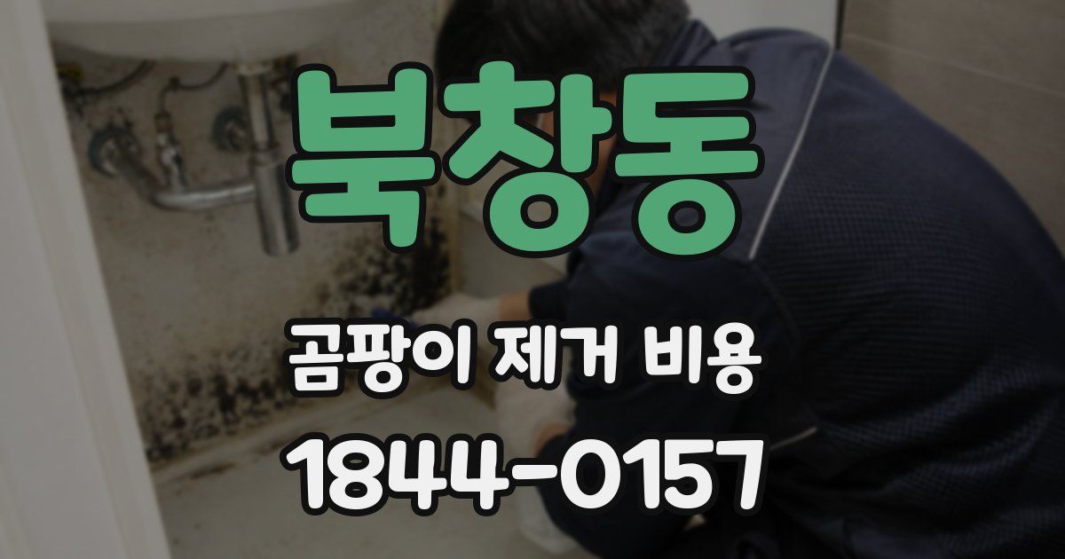북창동 곰팡이 제거 비용