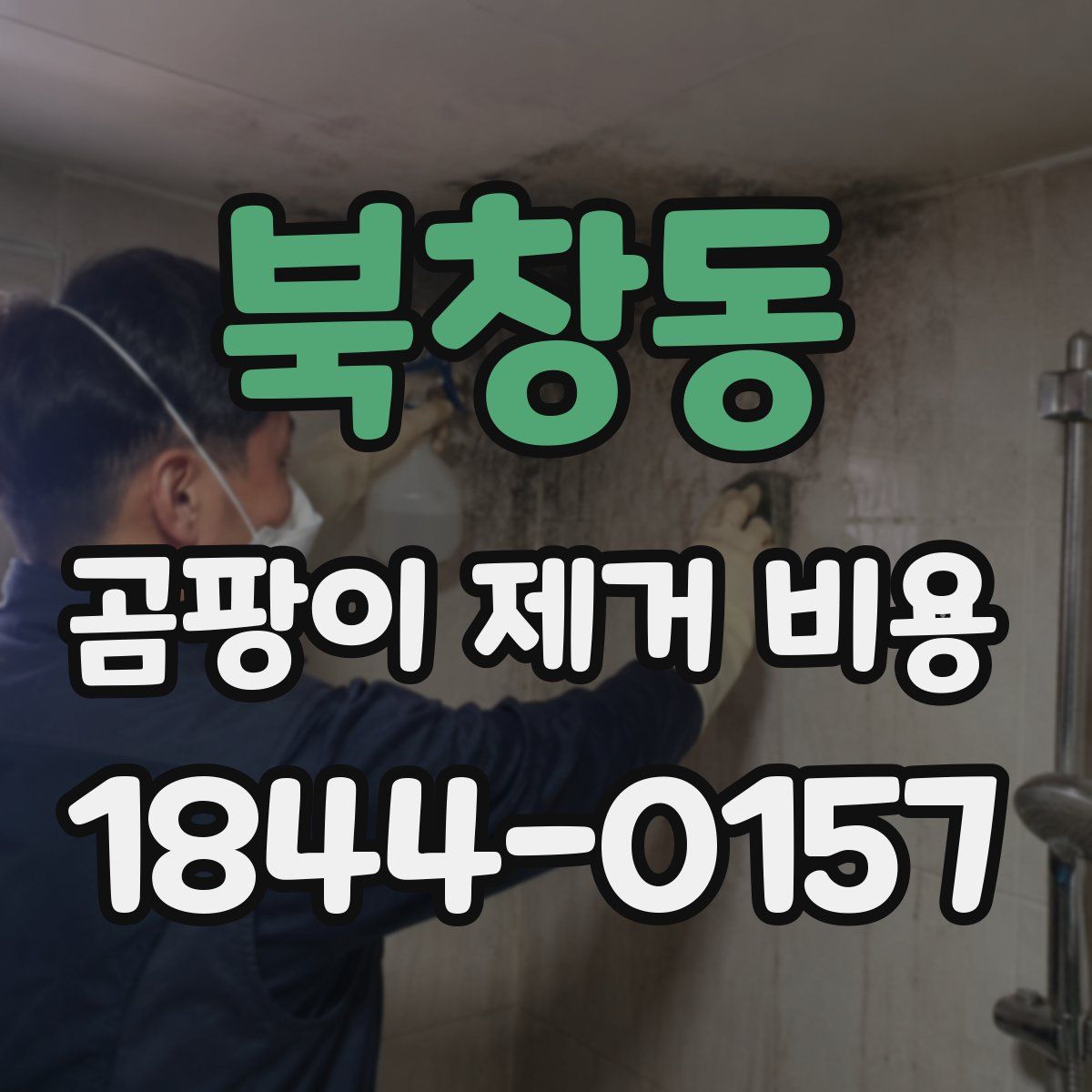북창동 곰팡이 제거 비용