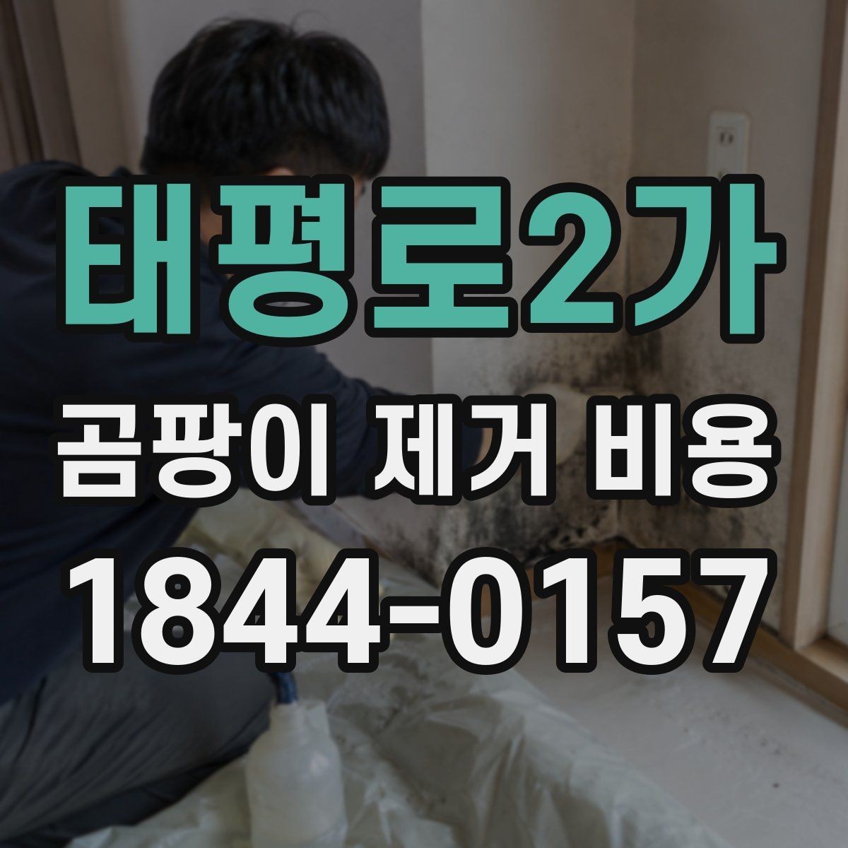 태평로2가 곰팡이 제거 비용 상가 내부와 세대 주거공간의 작업 차이