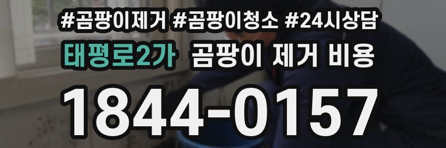 태평로2가 곰팡이 제거 비용