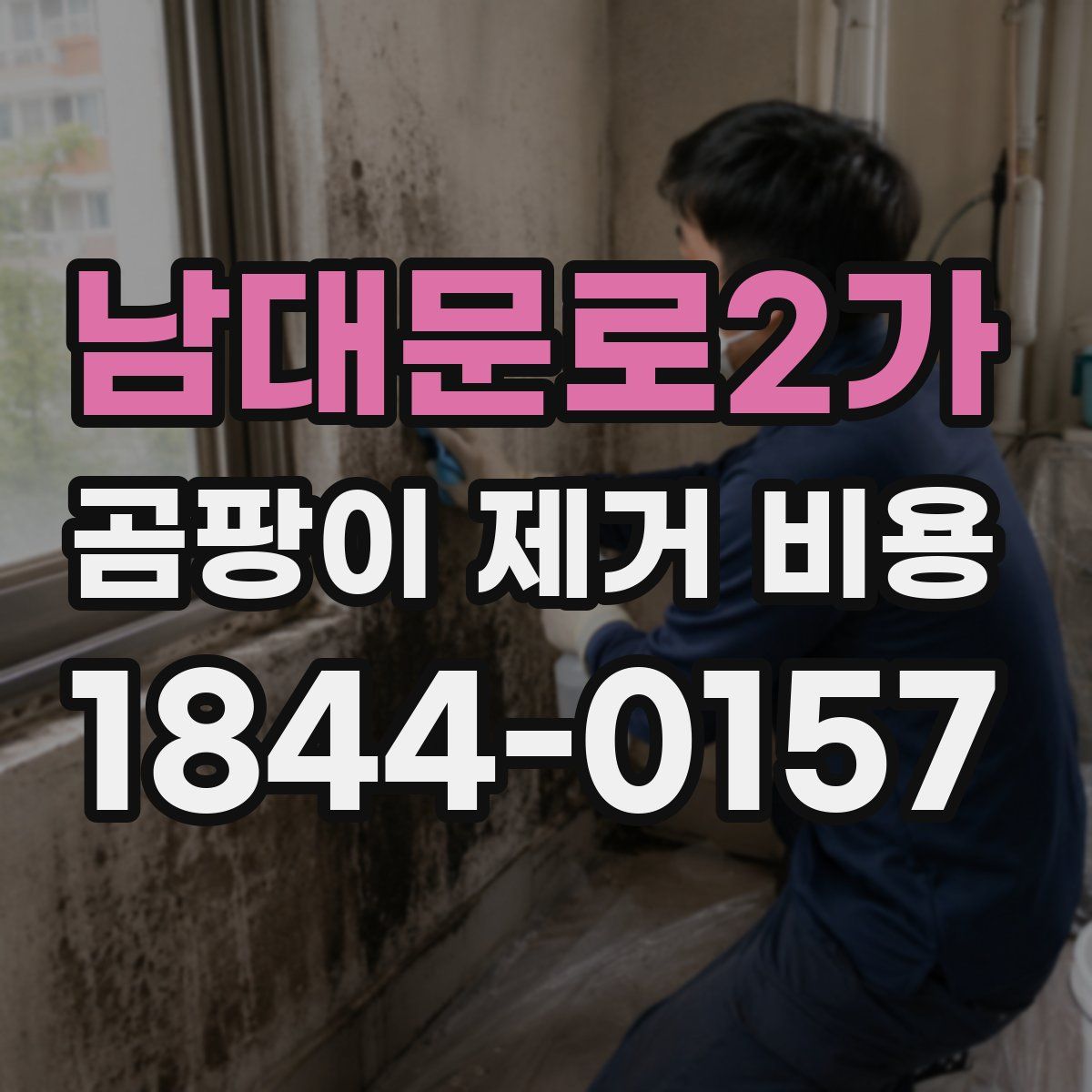남대문로2가 곰팡이 제거 비용