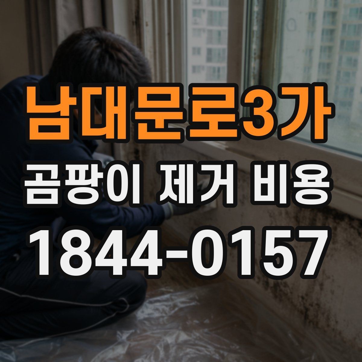 남대문로3가 곰팡이 제거 비용 장비 사용 시 추가되는 항목 살펴보기
