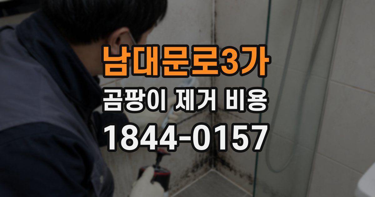 남대문로3가 곰팡이 제거 비용