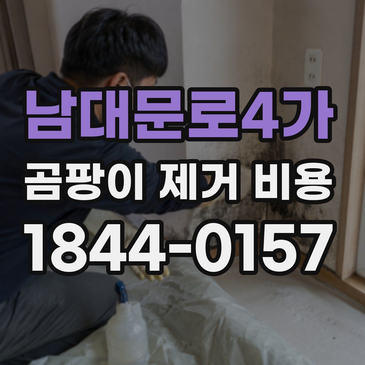 남대문로4가 곰팡이 제거 비용