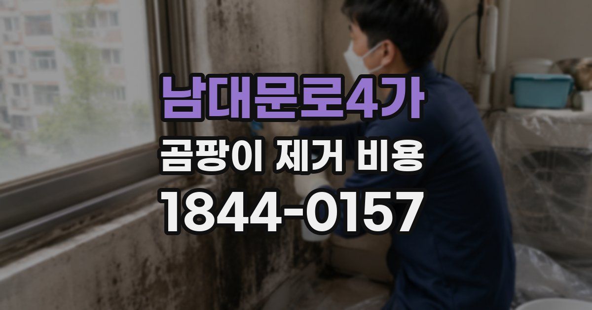 남대문로4가 곰팡이 제거 비용