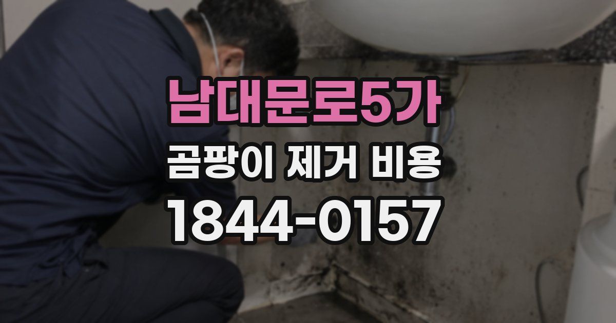 남대문로5가 곰팡이 제거 비용