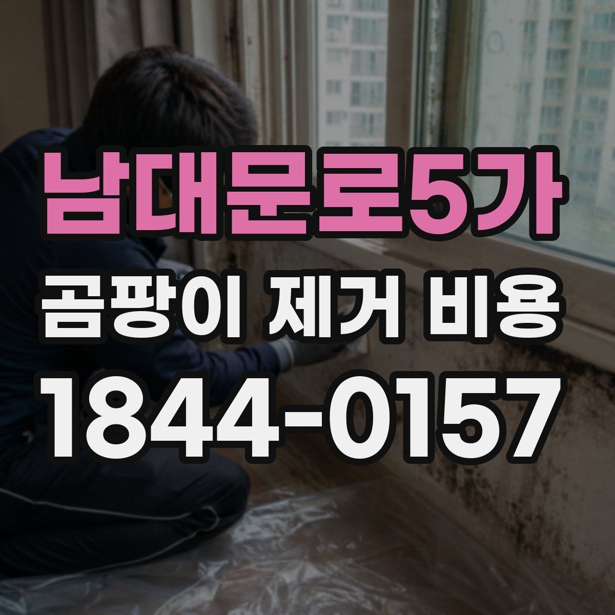 남대문로5가 곰팡이 제거 비용