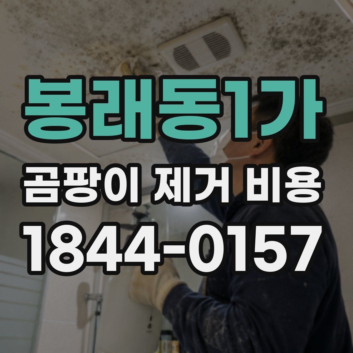 봉래동1가 곰팡이 제거 비용 실리콘 철거와 재시공이 포함되는지
