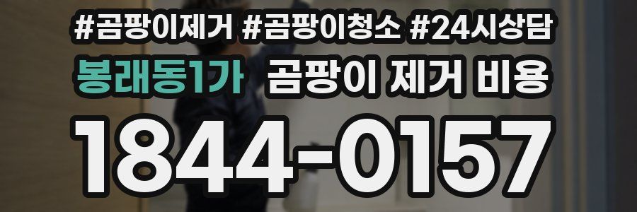 봉래동1가 곰팡이 제거 비용