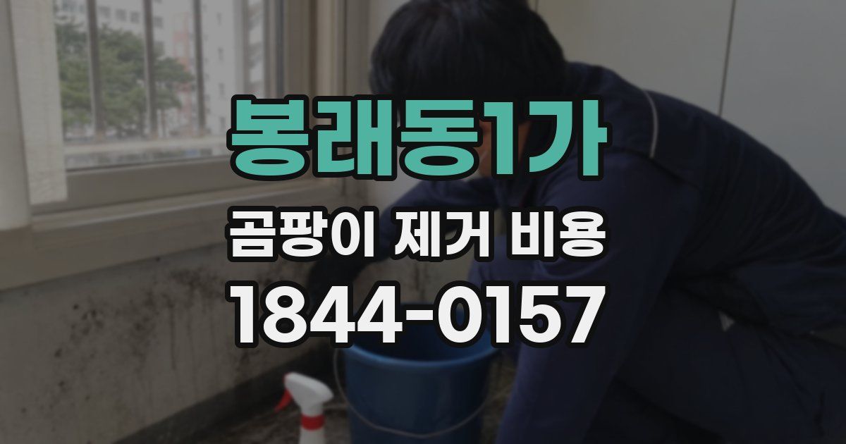 봉래동1가 곰팡이 제거 비용
