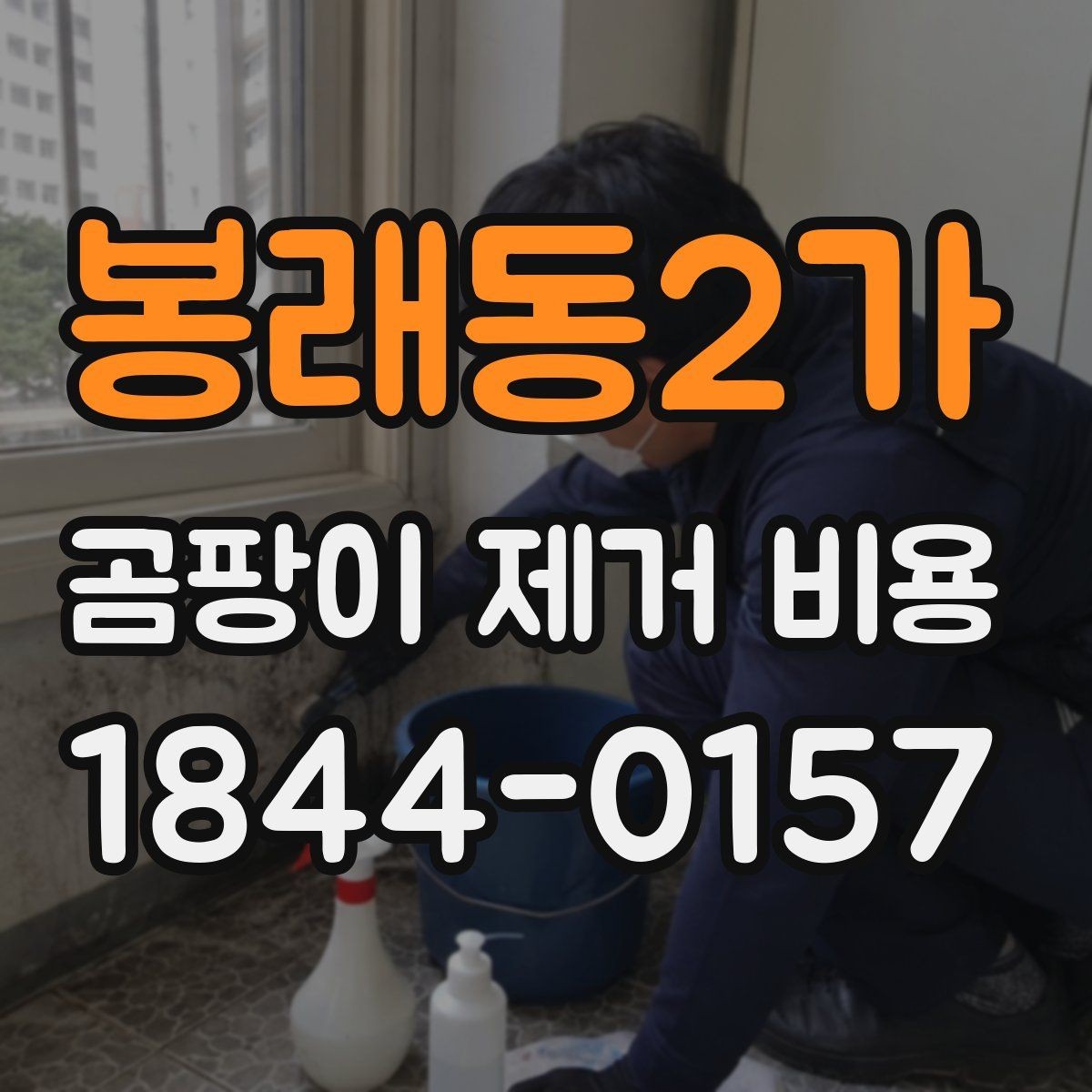 봉래동2가 곰팡이 제거 비용 재발 가능성 점검이 포함될 때 보는 항목