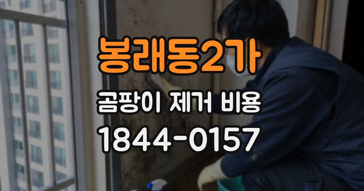 봉래동2가 곰팡이 제거 비용