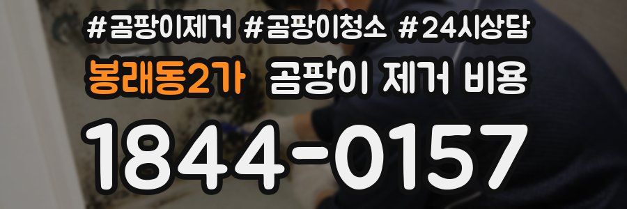 봉래동2가 곰팡이 제거 비용