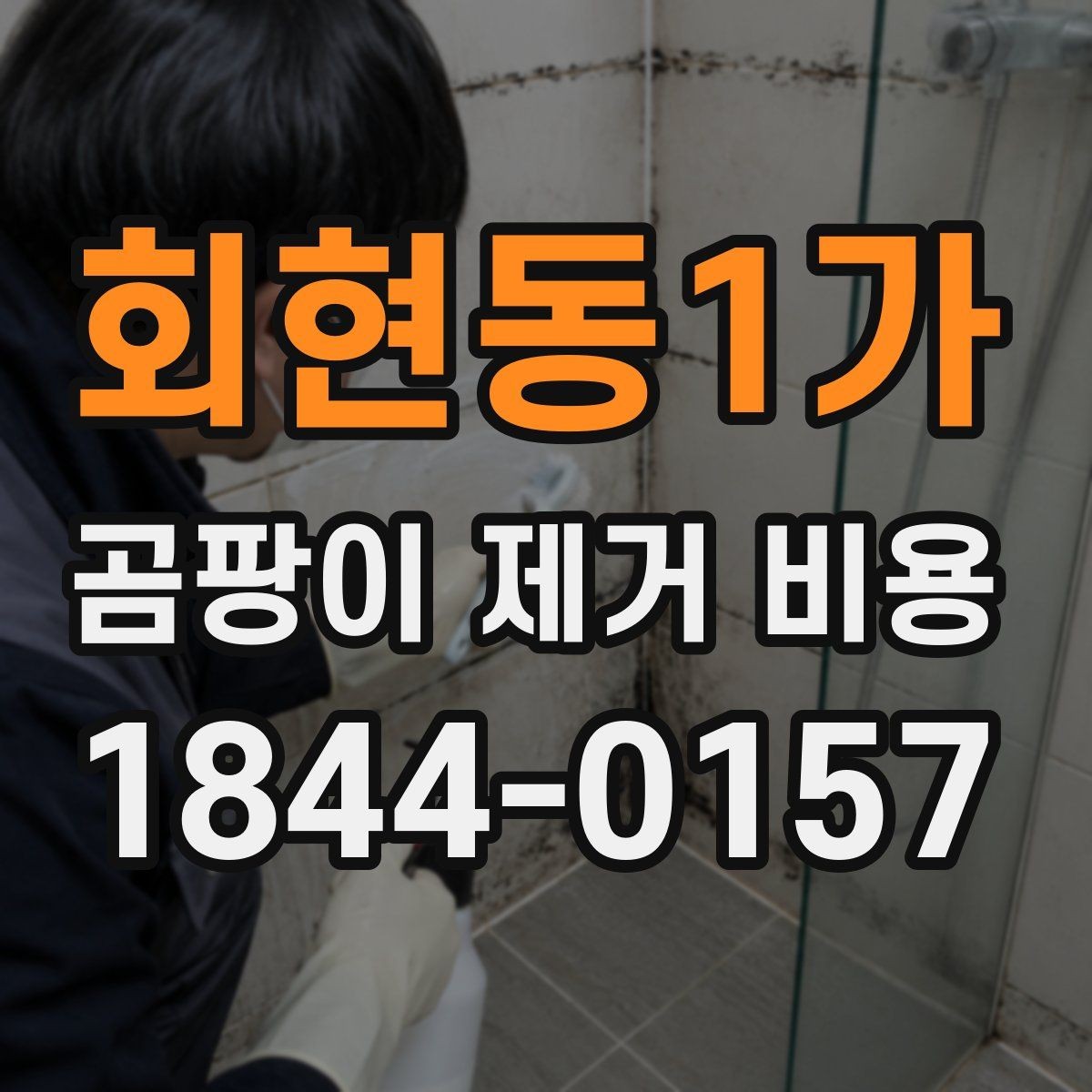 회현동1가 곰팡이 제거 비용 작업 인원과 시간 산정이 달라지는 현장