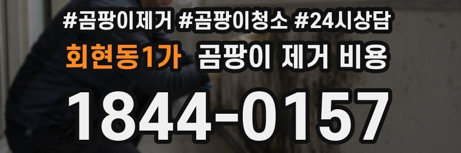 회현동1가 곰팡이 제거 비용