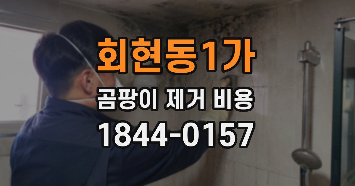 회현동1가 곰팡이 제거 비용