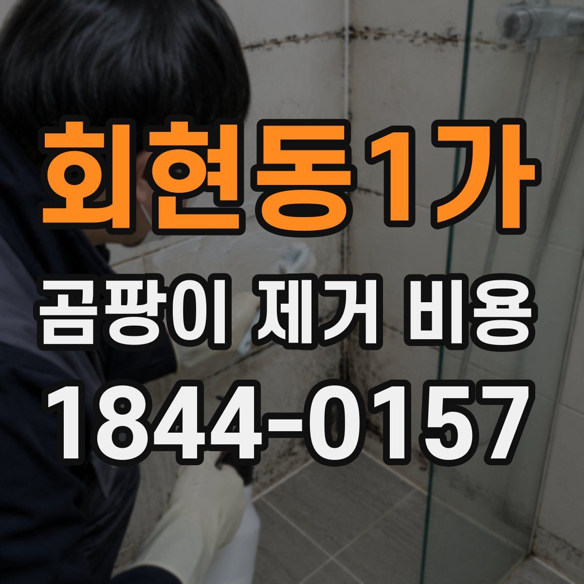 회현동1가 곰팡이 제거 비용