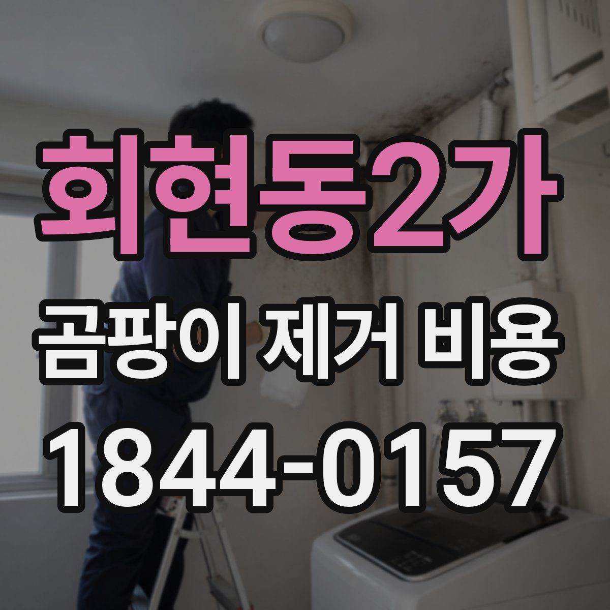 회현동2가 곰팡이 제거 비용 제거 후 환기와 관리까지 고려하기