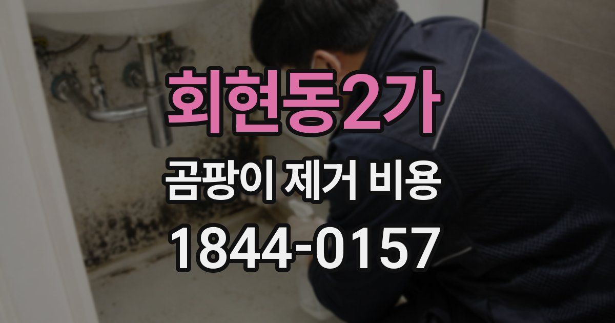 회현동2가 곰팡이 제거 비용
