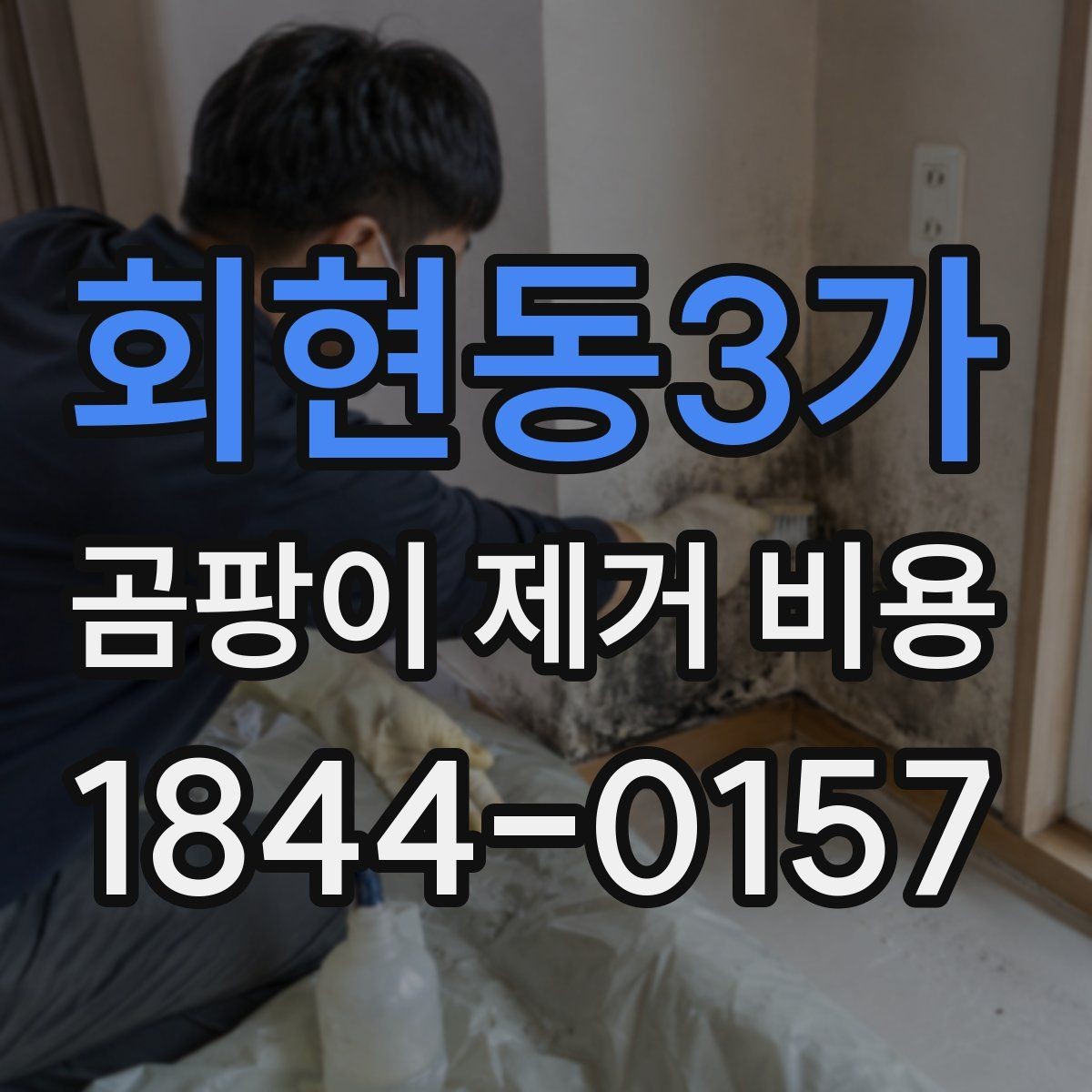 회현동3가 곰팡이 제거 비용 욕실 천장 공사가 더 복잡해지는 경우