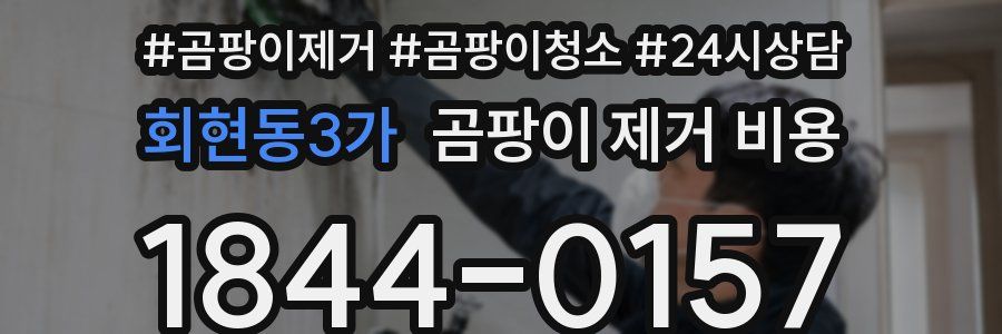 회현동3가 곰팡이 제거 비용