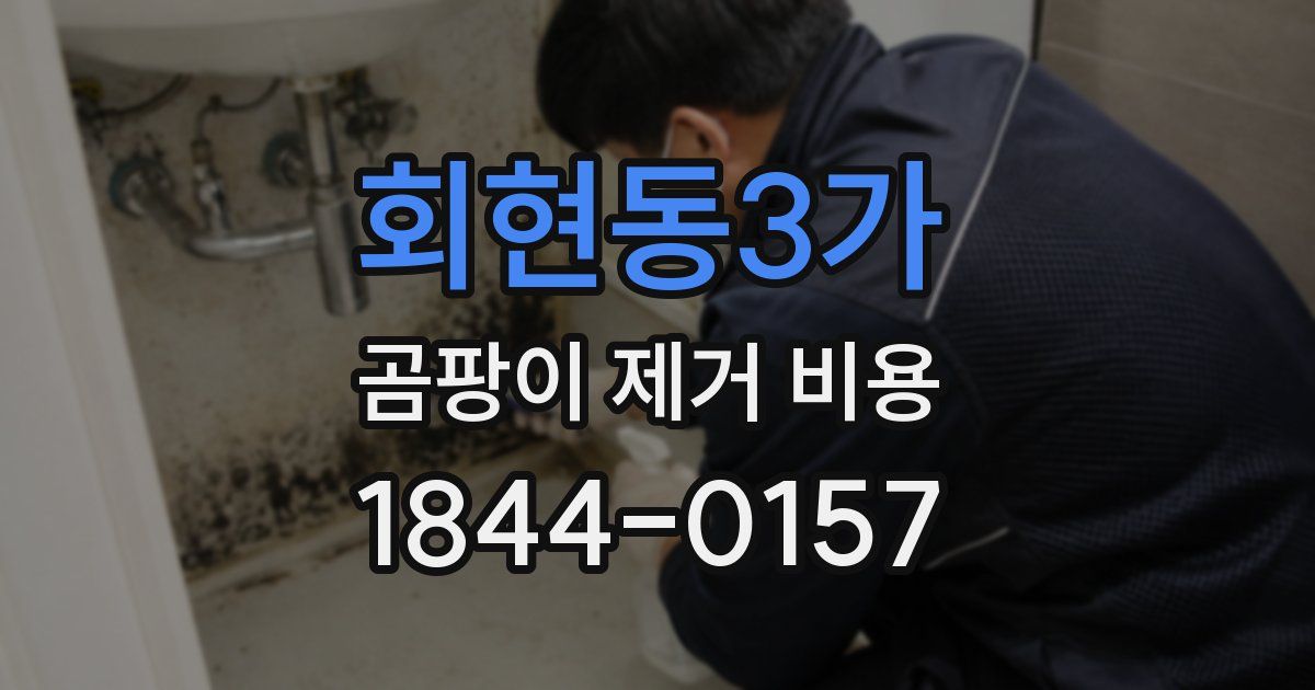 회현동3가 곰팡이 제거 비용