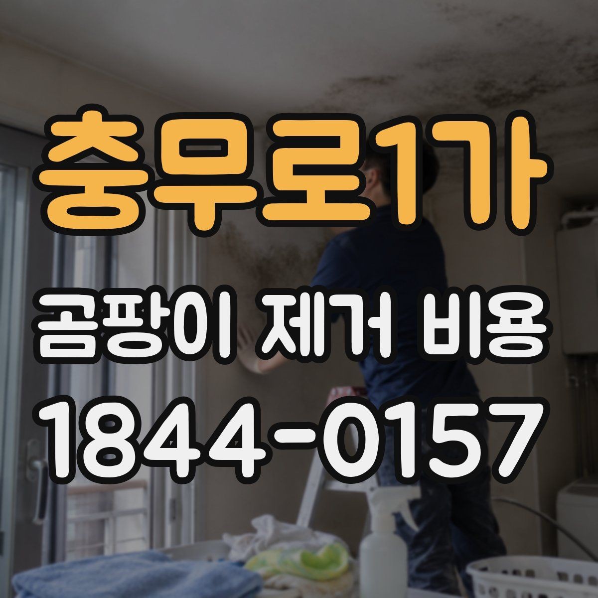 충무로1가 곰팡이 제거 비용 상담 전 사진으로 확인할 부분