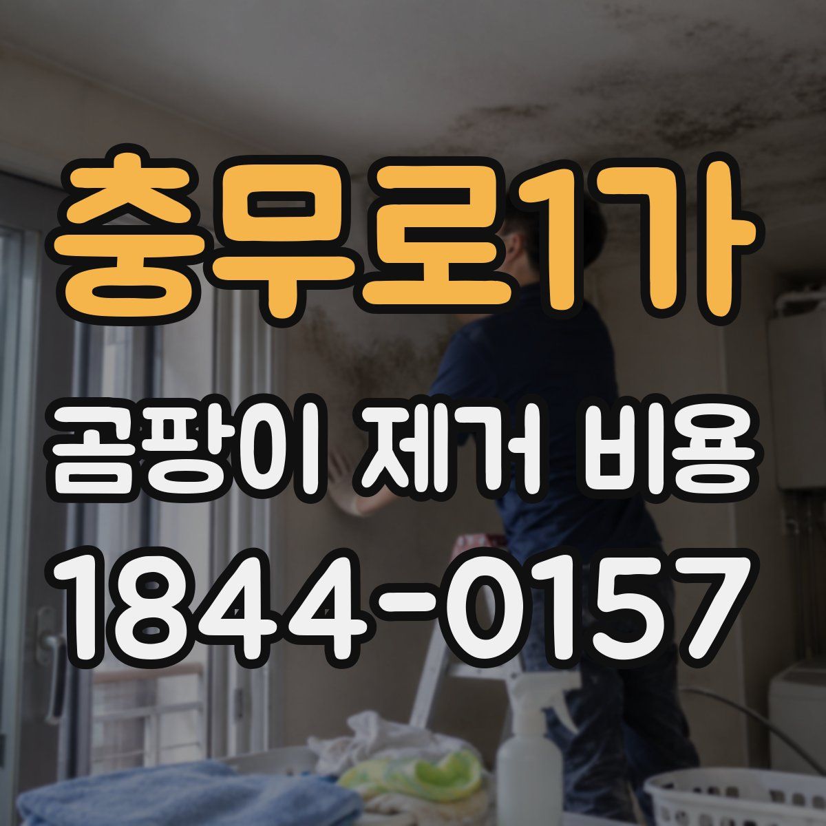 충무로1가 곰팡이 제거 비용