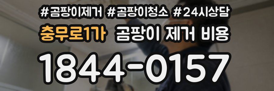 충무로1가 곰팡이 제거 비용
