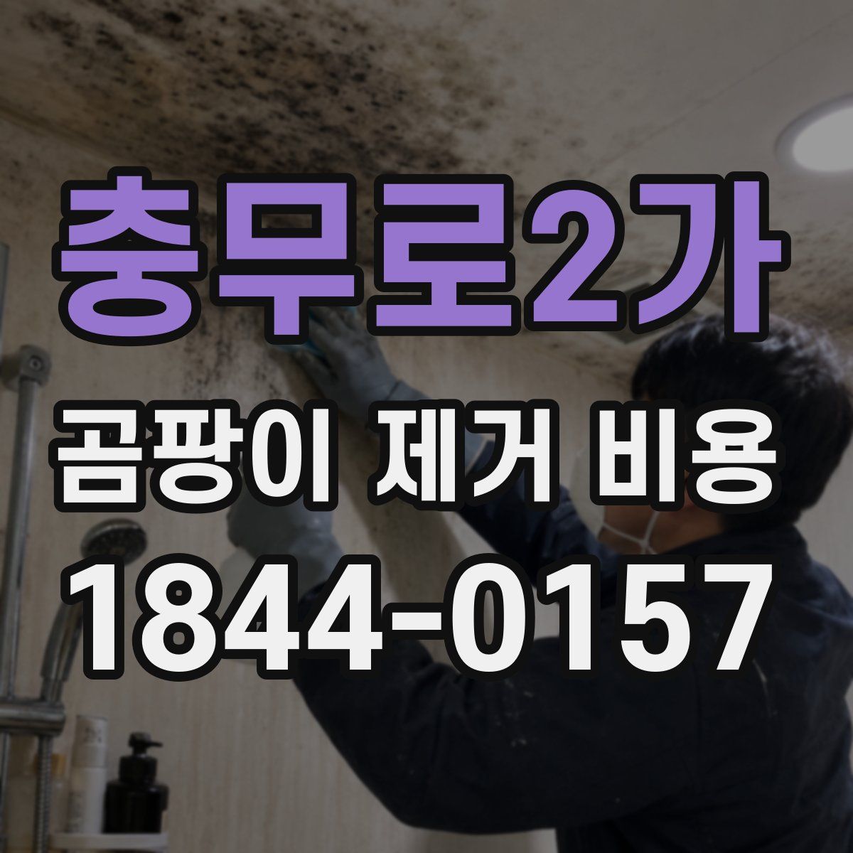 충무로2가 곰팡이 제거 비용